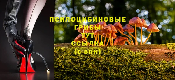 дурь Волоколамск